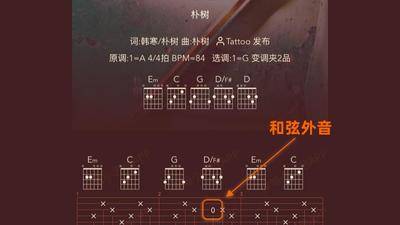 和弦库弹唱系列教程7：通过和弦外音，弹奏和歌曲原配一致的伴奏，提高还原度