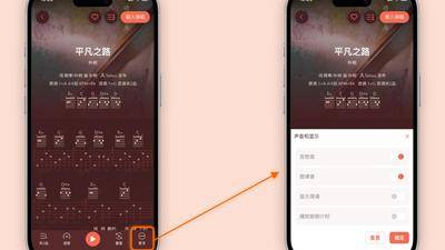 动态吉他谱系列教程6：显示简谱和乐器静音